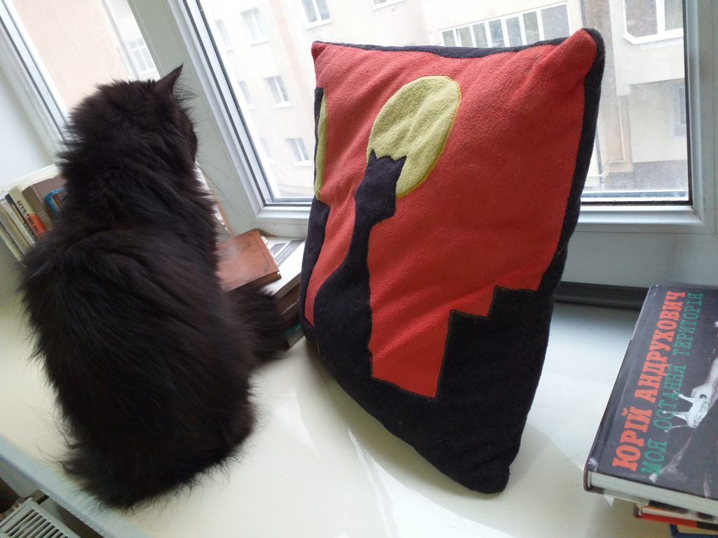 黒猫とクッション