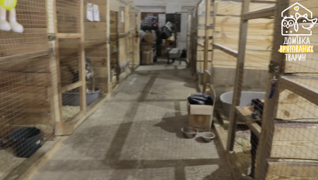 ウクライナ動物保護施設